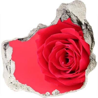 Zelfklevende muursticker 3D gat Bloemenillusie in beton