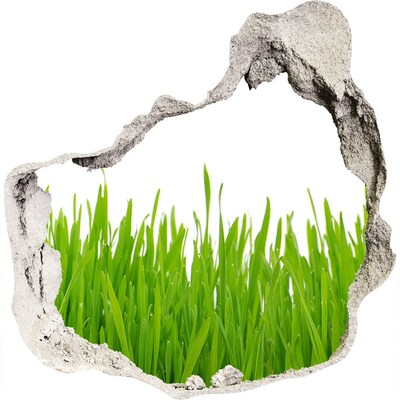 Zelfklevende muursticker 3D gat Een groene weide achter de muur
