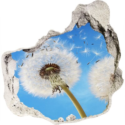 3D wandsticker gat in de muur Paardenbloemen in de blauwe lucht