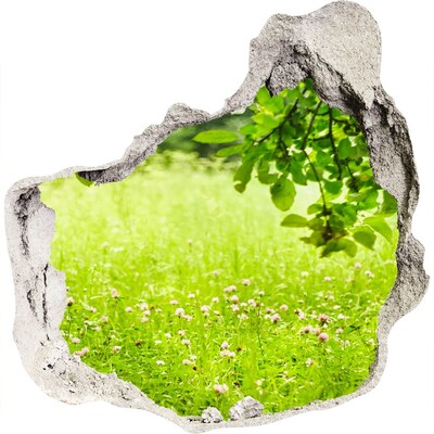 3D muursticker effect gat in de muur Een groene weide achter de muur