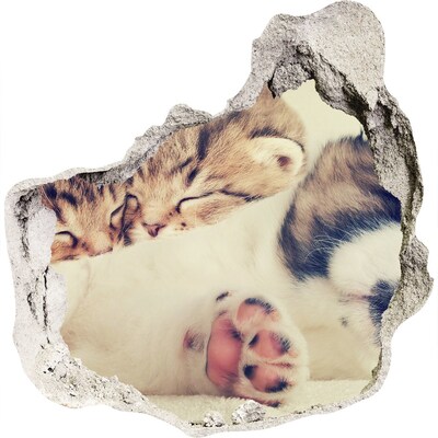 3D wandsticker gat in de muur Schattige kittens in een gat in de muur