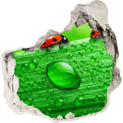 3D muursticker effect gat in de muur Een dauwdruppel op een blad
