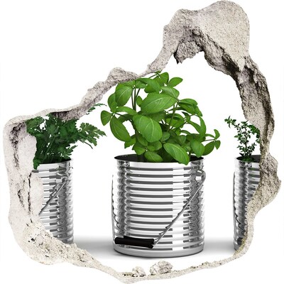 3D wandsticker gat in de muur Groene tuin in metalen potten