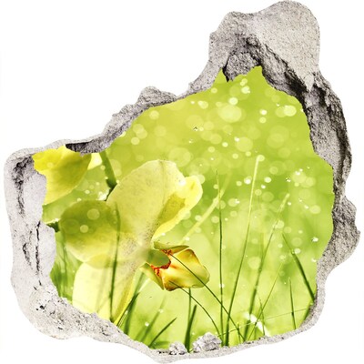 3D wandsticker gat in de muur Een bloemenparadijs te midden van het groen.