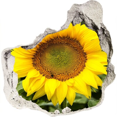 Zelfklevende muursticker 3D gat Zonnebloem in beton