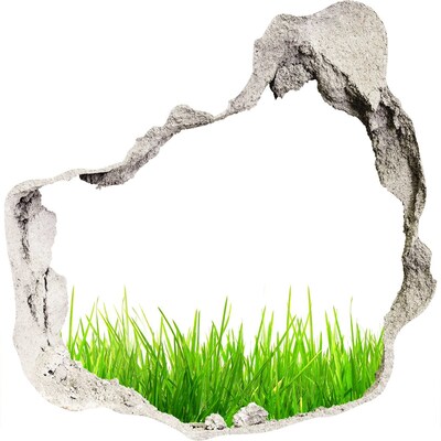 3D wandsticker gat in de muur Een groene weide achter de muur