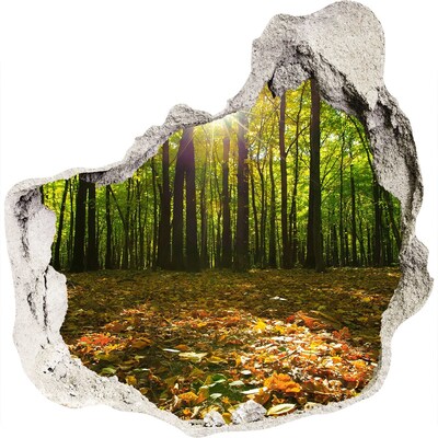 Zelfklevende muursticker 3D gat Een oase in het bos, badend in de zon.