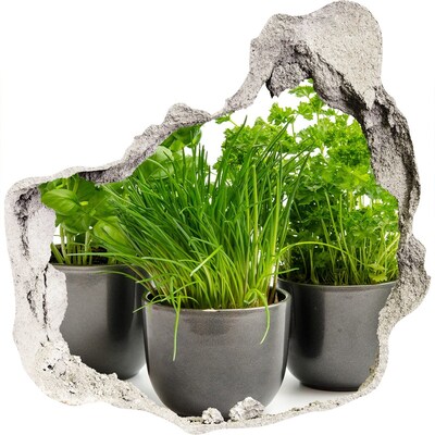 Zelfklevende muursticker 3D gat Groene tuin in potten