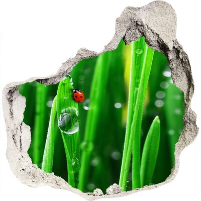 3D muursticker effect gat in de muur Een dauwdruppel op het gras met een lieveheersbeestje