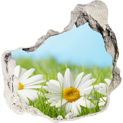 3D muursticker effect gat in de muur Bloemen in een groene weide