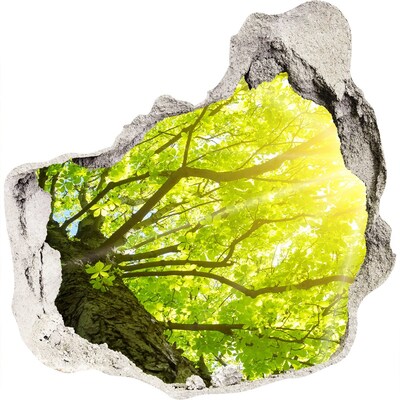 3D muursticker effect gat in de muur Groen bos in de zonnestralen
