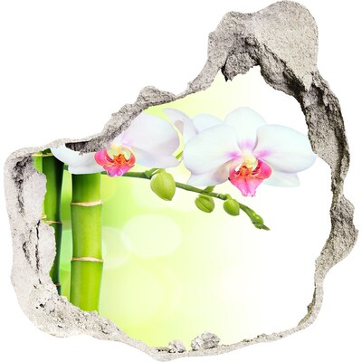 3D wandsticker gat in de muur Orchideeën in de bamboetuin
