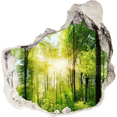 3D wandsticker gat in de muur Groen bos met zonnestralen