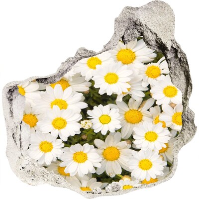Zelfklevende muursticker 3D gat Een bloemenparadijs in beton.