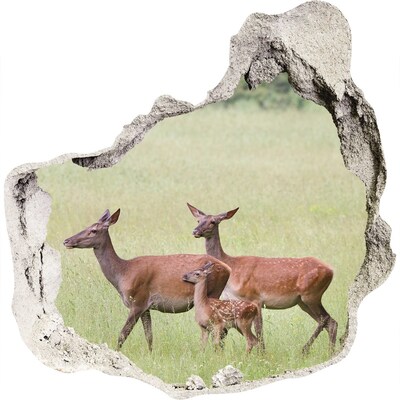 3D muursticker effect gat in de muur Een ree met haar jong in het wild.