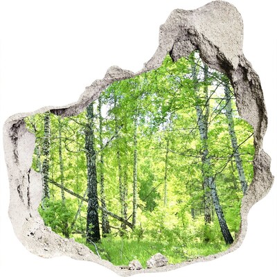 3D muursticker effect gat in de muur Groen bos in het zonlicht