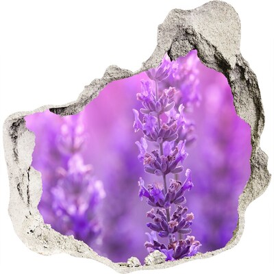 3D wandsticker gat in de muur Lavendelbloemen in het ochtendlicht