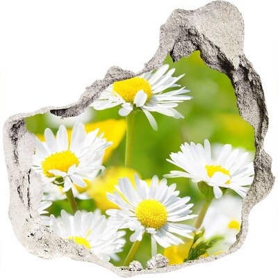 3D muursticker effect gat in de muur Bloemen in de weide
