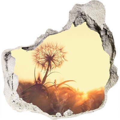 3D wandsticker gat in de muur Een bloem in de zonnestralen