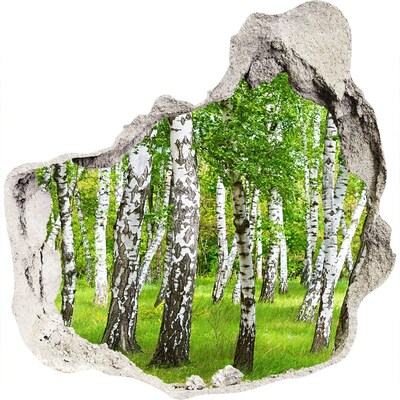 3D muursticker effect gat in de muur Groene berkenbos