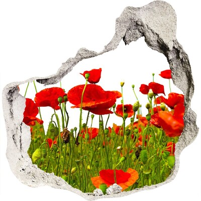 3D wandsticker gat in de muur Een bloemenparadijs tussen de klaprozen