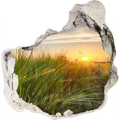 3D wandsticker gat in de muur Zonsondergang boven de weide