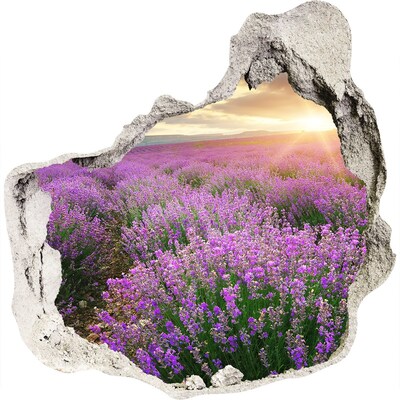 3D muursticker effect gat in de muur Lavendelveld bij zonsopgang