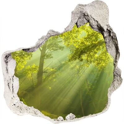 Zelfklevende muursticker 3D gat Groen bos met zonnestralen