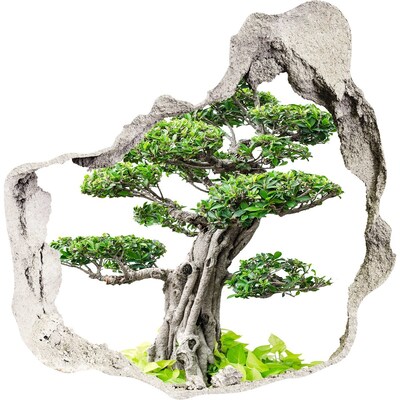 3D muursticker effect gat in de muur Bonsai in een gat in de muur