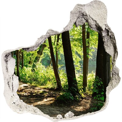 3D muursticker effect gat in de muur Groen bos aan de rivier