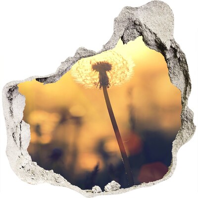 Zelfklevende muursticker 3D gat Paardenbloemen bloeien in de zonnestralen