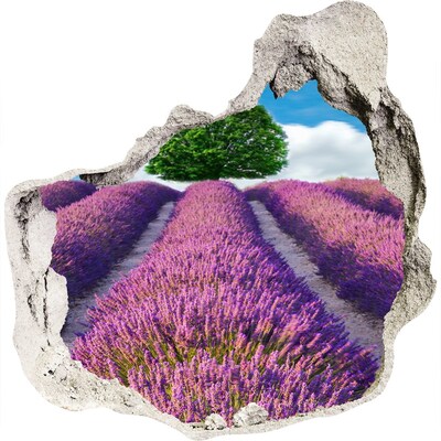 3D muursticker effect gat in de muur Lavendelveld achter de muur