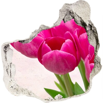 3D muursticker effect gat in de muur Bloemen in roze kleur