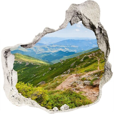 3D wandsticker gat in de muur Berglandschap met een pad