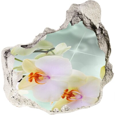 Zelfklevende muursticker 3D gat Bloemen in beton