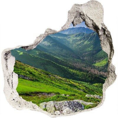 3D wandsticker gat in de muur Een groene vallei in de bergen