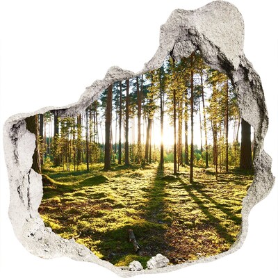 3D wandsticker gat in de muur Bosrijke open plek in de ochtend