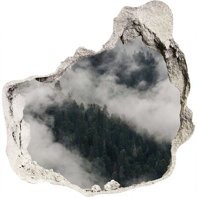 3D muursticker effect gat in de muur Groene vallei in de wolken