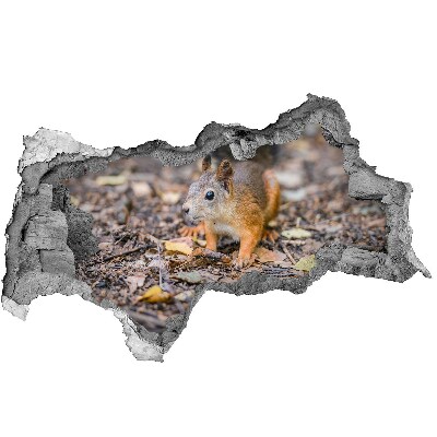 3D muursticker effect gat in de muur Eekhoorn in het bos