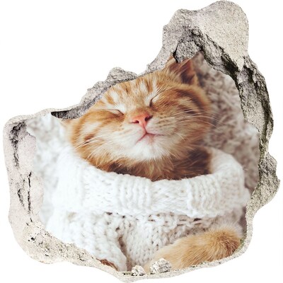 3D wandsticker gat in de muur Schattige kat in een trui