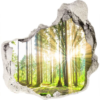 3D wandsticker gat in de muur Een open plek in het bos, badend in de zonnestralen.