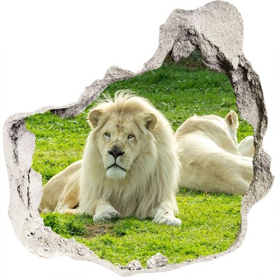 3D muursticker effect gat in de muur Witte leeuw in zijn natuurlijke habitat