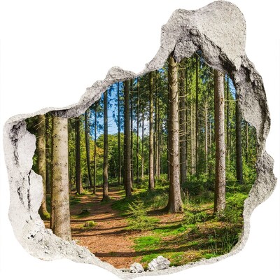 3D muursticker effect gat in de muur Een bospad in het dichte bos.