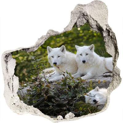 3D wandsticker gat in de muur Arctische wolven in hun natuurlijke habitat