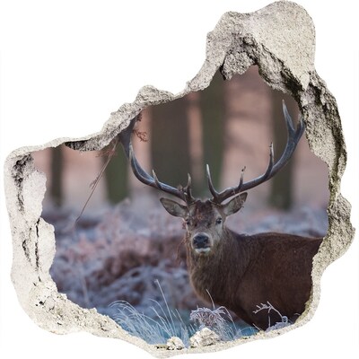 3D wandsticker gat in de muur Herten in het bos