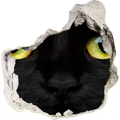 3D wandsticker gat in de muur Zwarte kat door een gat in de muur