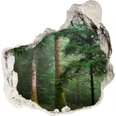 3D muursticker effect gat in de muur Groen bos in een gat in de muur