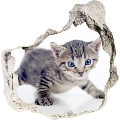 Zelfklevende muursticker 3D gat Kitten in een gat in de muur
