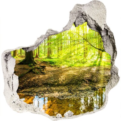 3D muursticker effect gat in de muur Een oase van rust in het bos