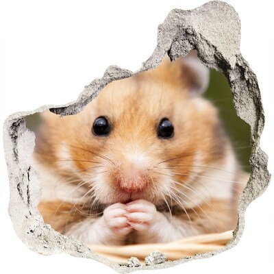 3D wandsticker gat in de muur Hamster in een transparant gat in de muur